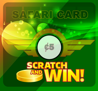 Play Safari Cards