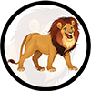 Win lion